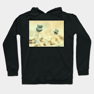 Mold under the microscope Hoodie